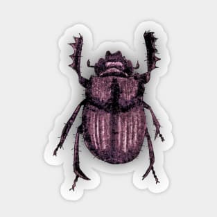 Bugs-2 Scarab Beetle Sticker